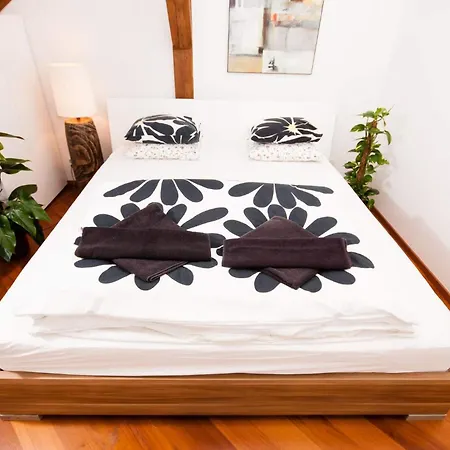 Luxury Loft * Praga