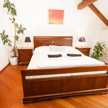 Luxury Loft Διαμέρισμα *