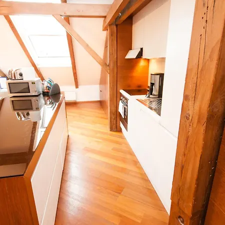 شقة Luxury Loft براغ